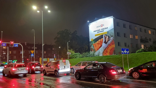 Siatka baner Wrocław Hallera Borek.jpg
