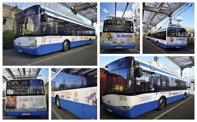 Oklejanie trolejbusów PKT Gdynia.jpg